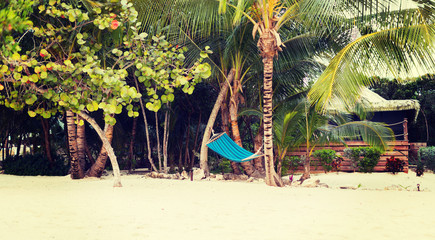 hammock on tropical beach