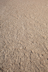 Terra arida