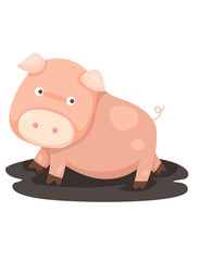 Pink pig
