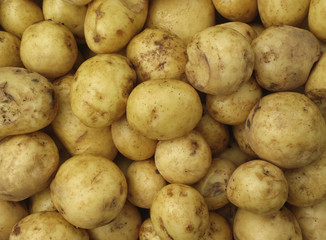 Pile of potatoes