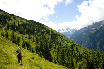Fototapeta na wymiar Wanderer im Zillertal - Alpen