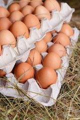 Eggs in paper trays on table close-up