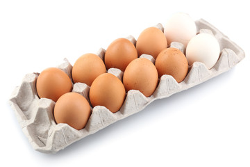 Different eggs in carton pack isolated on white