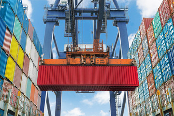 Shore crane lifts container during cargo operation in port - obrazy, fototapety, plakaty