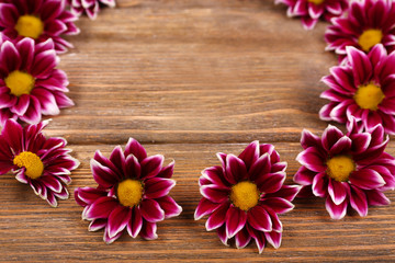 beautiful chrysanthemum flowers on brown wooden background