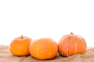 orange ripe pumpkins on linen canvas