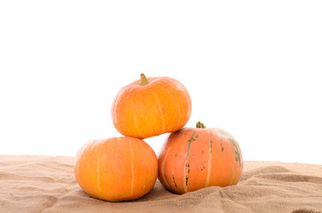 pyramid of orange ripe pumpkins on linen cloth
