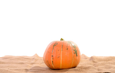 orange ripe pumpkin on linen cloth background