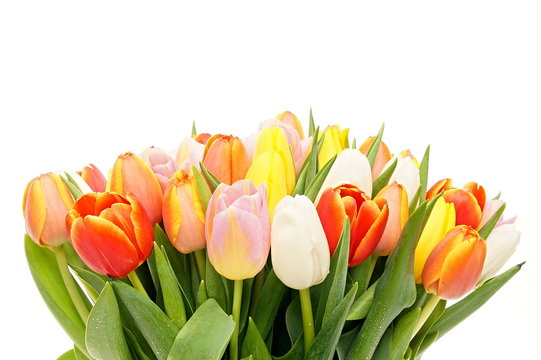 Beautiful bouquet of fresh orange tulips