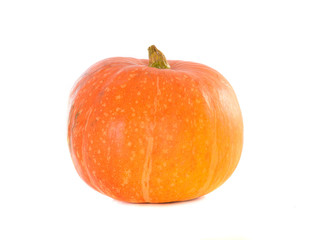 pumpkin isolated on white background