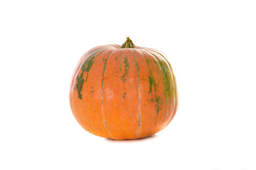 ripe orange pumpkin on white background