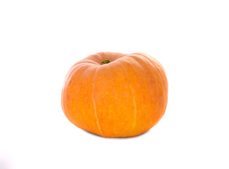 ripe orange pumpkin on white background