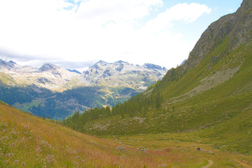 Mountain path, reaching for Grand Tournalin, Val D'Ayas - Alps