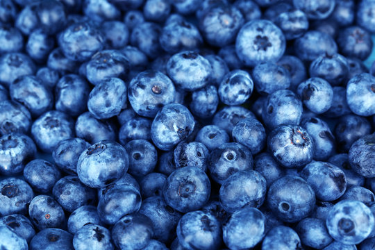 Tasty ripe blueberries, close up