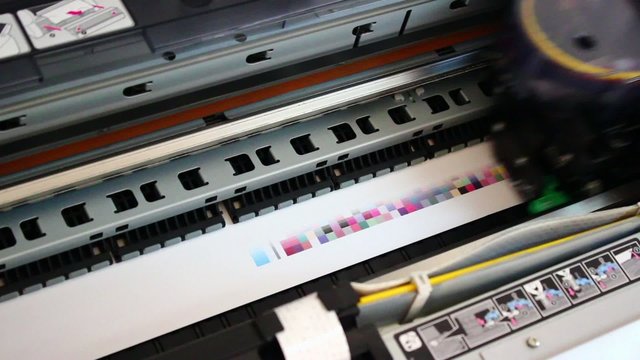 Wide format digital printer