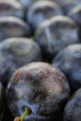 Ripe sweet plums, close up