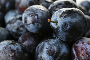 Ripe sweet plums, close up