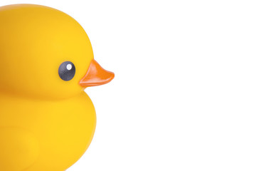 Close-up yellow rubber duck, isolated on white background