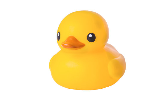 Yellow rubber duck, isolated on white background