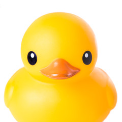Close-up yellow rubber duck, isolated on white background