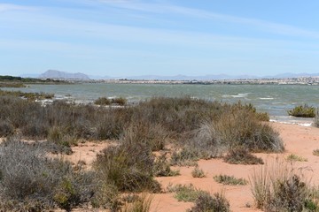 Natural Park of La Mata