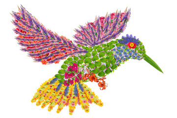 Paradise floral humming-bird - Powered by Adobe
