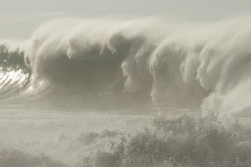 huge wave