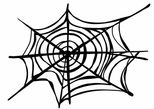 doodle Spider Web