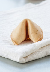 Fortune cookie close up on white background