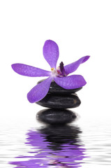 Obraz na płótnie Canvas beautiful orchid and stone with water reflection