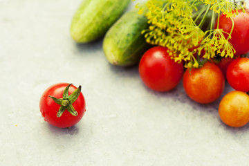 Fresh vegetables harvest. Tomatoes and gherkins, toned