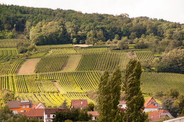 Wangen, village de la Route de Vins en Alsace