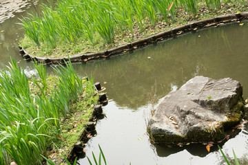 The green grass gardening and stone in the pond.