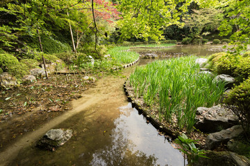The scenery of green grass gardening in the pond.