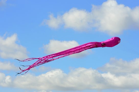 purple octopus kite