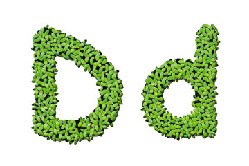 Duckweed alphabet letters 