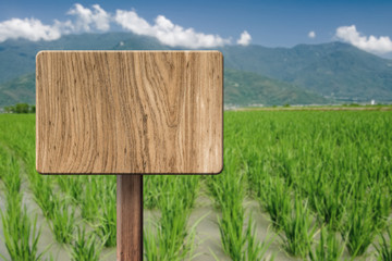 Blank wooden sign