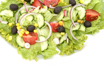 salade composée