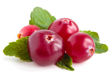 Cranberries isolated on white background.
