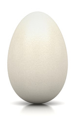 Uovo di rettile, alieno, gallina