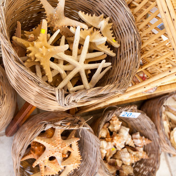 Starfish and seashells souvenirs for sale