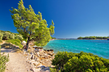 Fototapeta premium Idyllic turquoise beach in Croatia