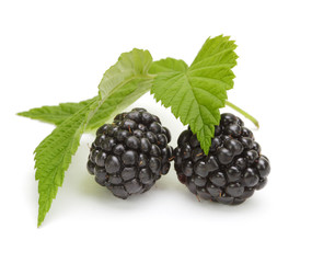 Fresh blackberry with leaf