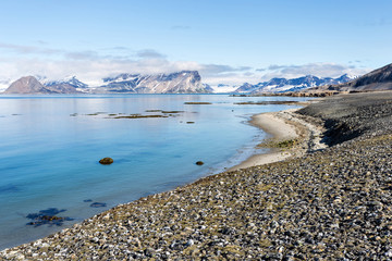 Coast beach in Spitsbergen, Arctic