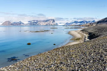 Deurstickers Coast beach in Spitsbergen, Arctic © Incredible Arctic