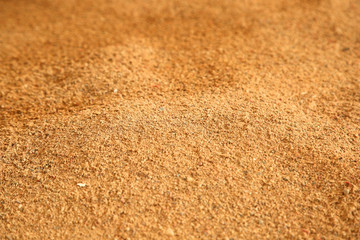 Fototapeta na wymiar The sand