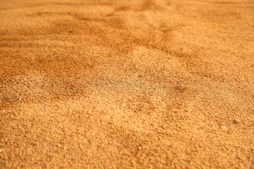 The sand