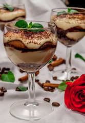 Tiramisu dessert