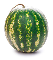 water melon