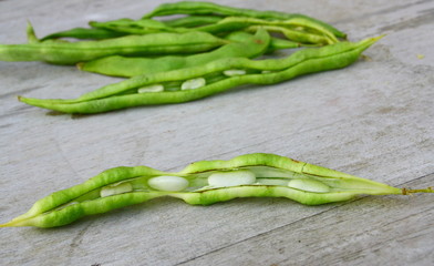 gousses de haricots sec et ses graines